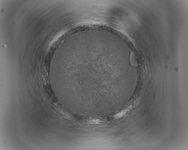 X0000070410871200606091149