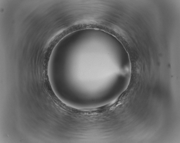 X0000070410872200606091149