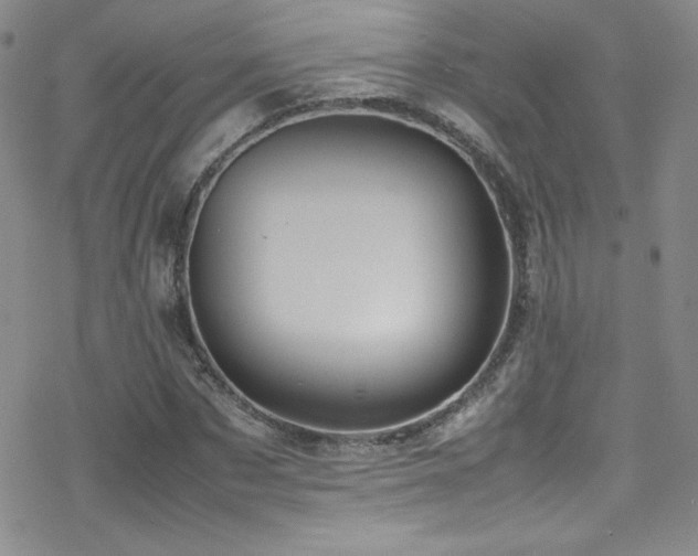 X0000070410873200606091149