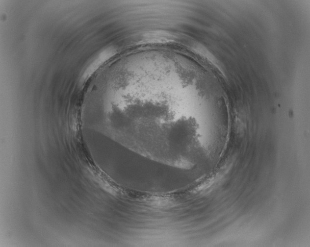 X0000070410874200606091149