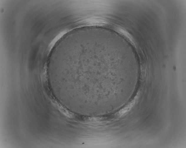 X0000070410875200606091149