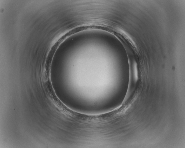 X0000070410876200606091149