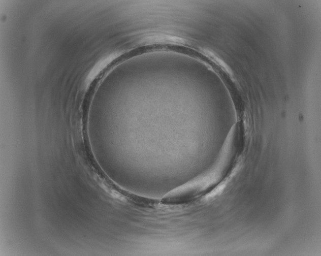 X0000070410877200606091148