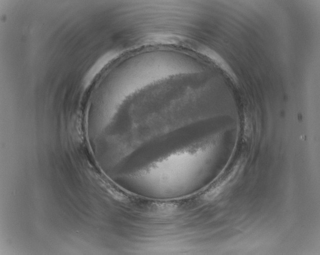 X0000070410878200606091148