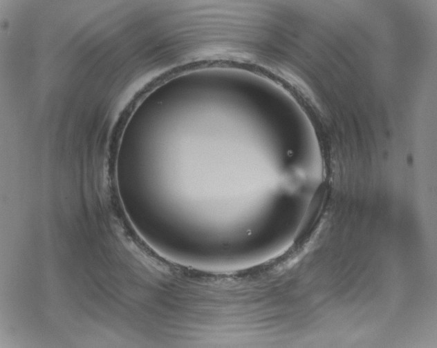 X0000070410880200606091148