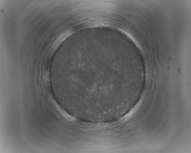 X0000070410881200606091148