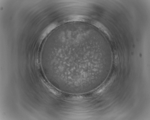 X0000070410882200606091148