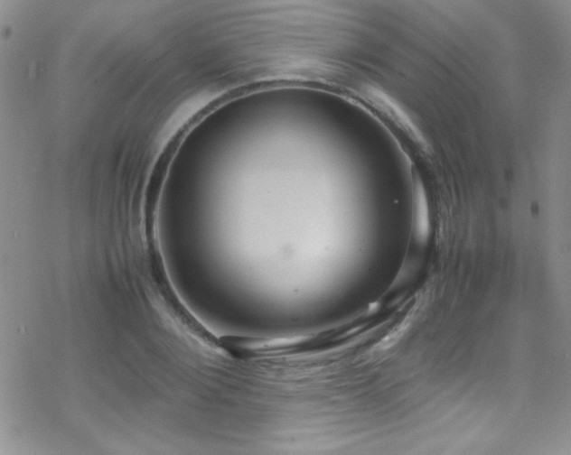 X0000070410884200606091148