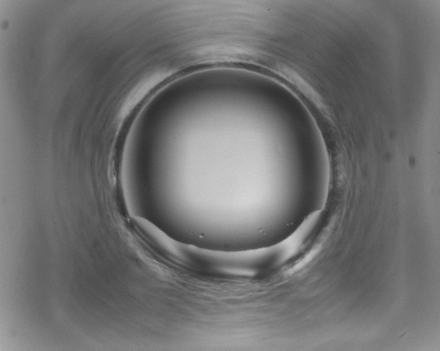 X0000070410885200606091148