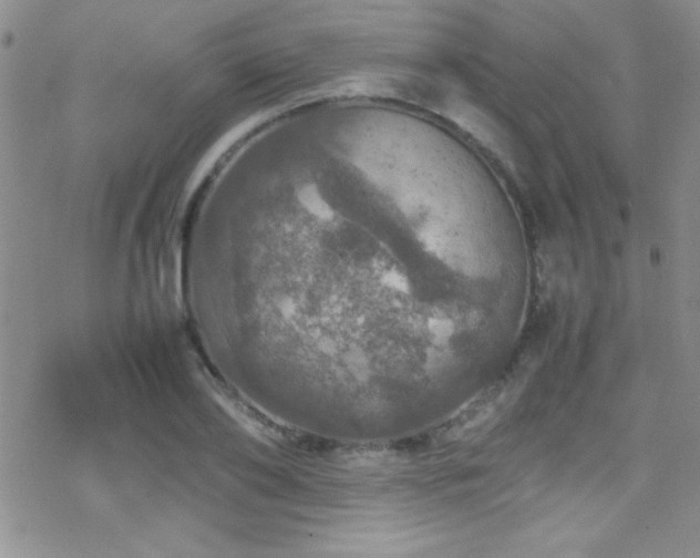 X0000070410886200606091148