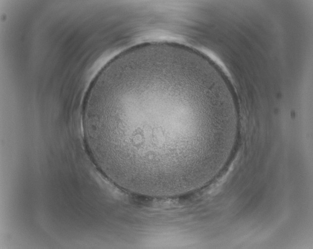 X0000070410887200606091148