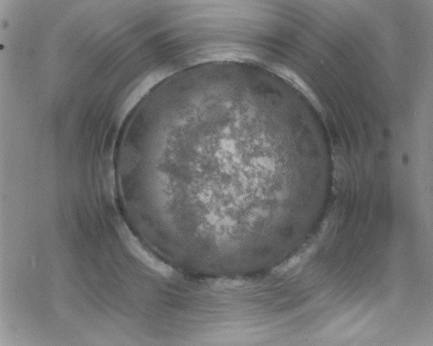 X0000070410890200606091148