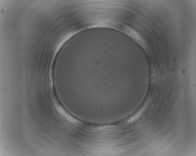 X0000070410892200606091148