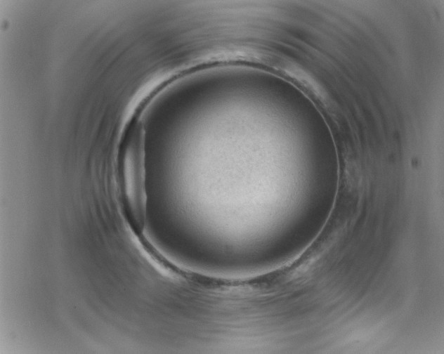 X0000070410894200606091148