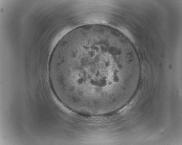 X0000070410895200606091148