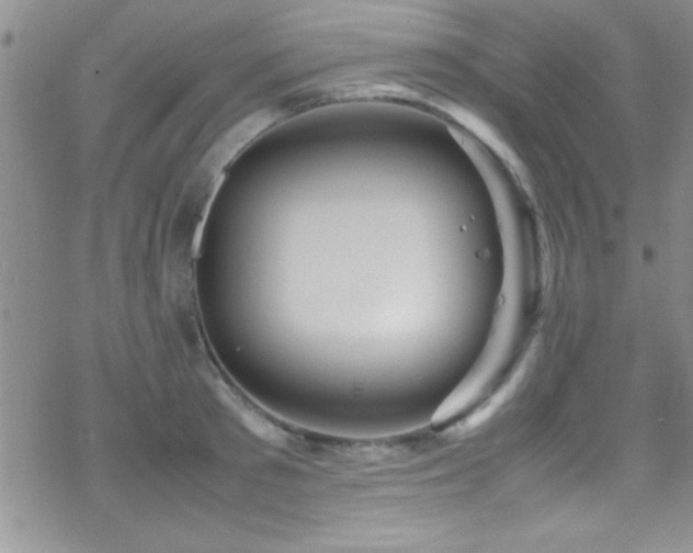 X0000070410897200606091148