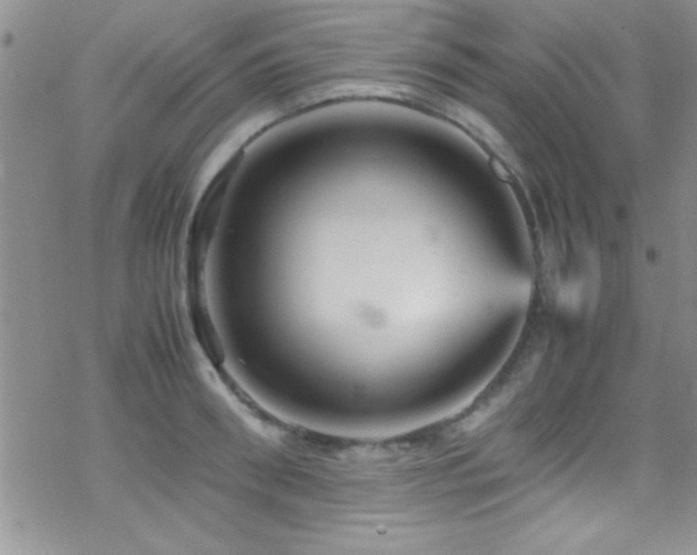 X0000070410898200606091148