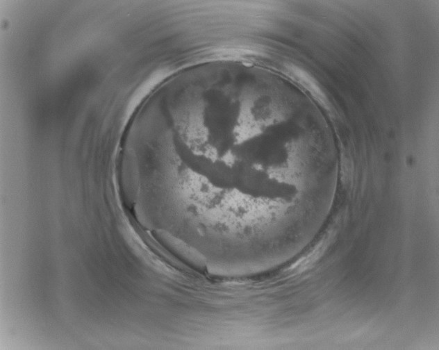 X0000070410899200606091148