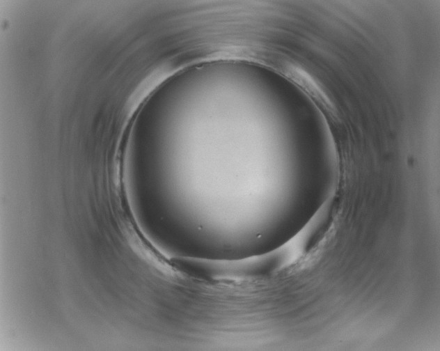 X0000070410900200606091148