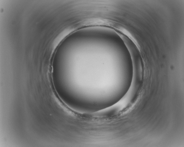 X0000070410901200606091148