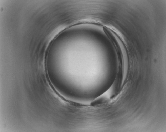 X0000070410902200606091148