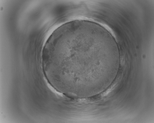 X0000070410903200606091148