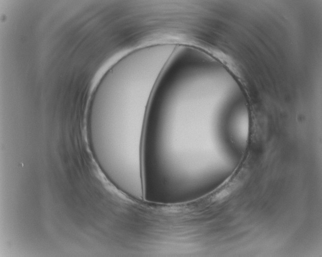 X0000070410904200606091148