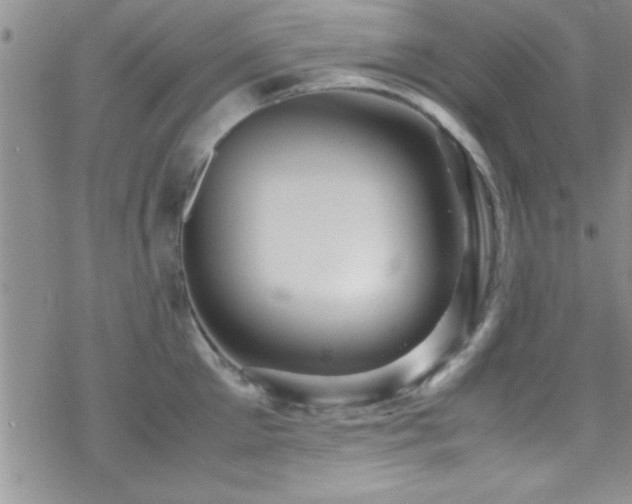 X0000070410905200606091148