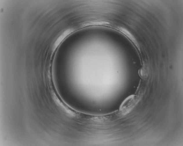 X0000070410906200606091148