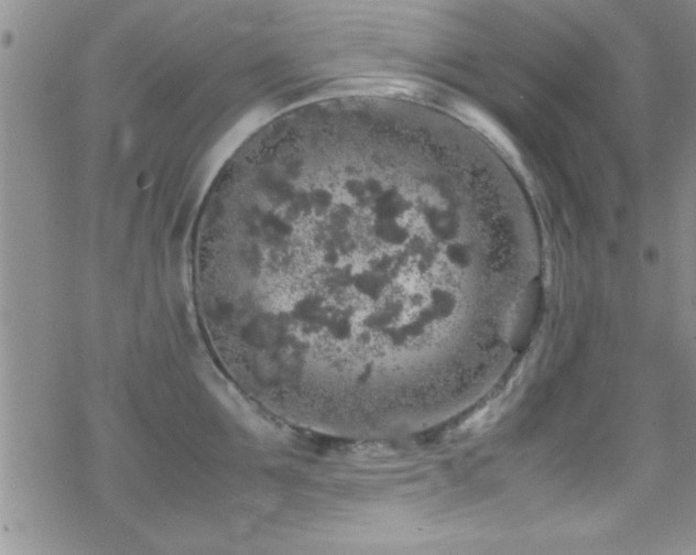 X0000070410907200606091148