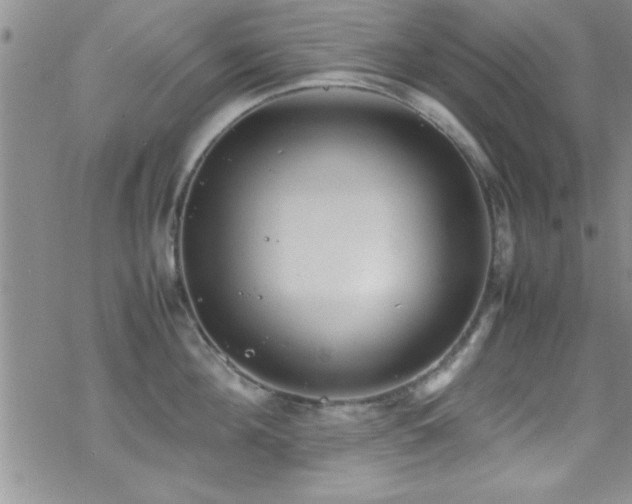 X0000070410908200606091148