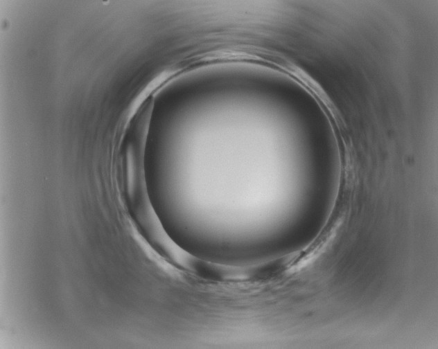 X0000070410909200606091148