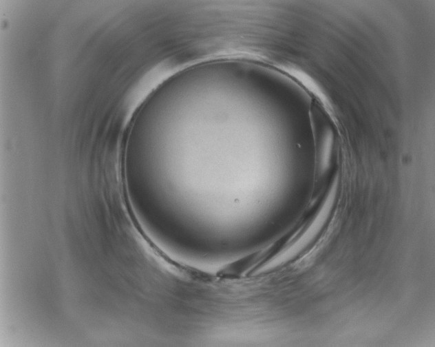 X0000070410910200606091148