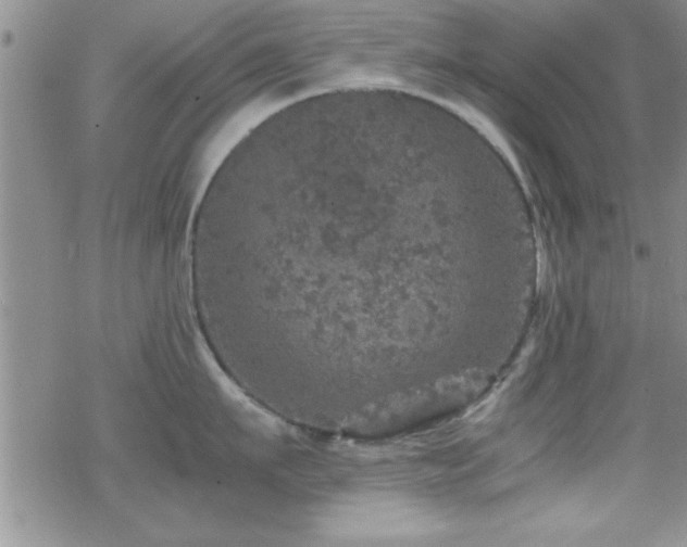 X0000070410911200606091148