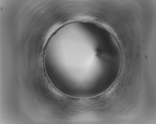 X0000070410912200606091148