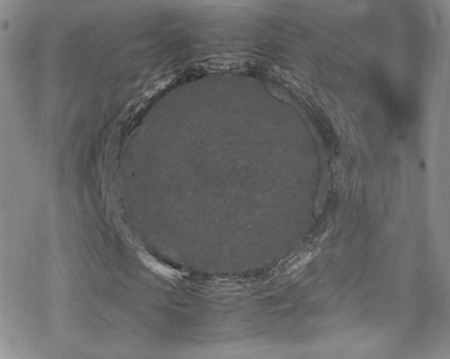 X0000070410913200606091147