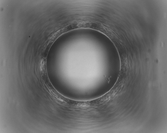 X0000070410914200606091147