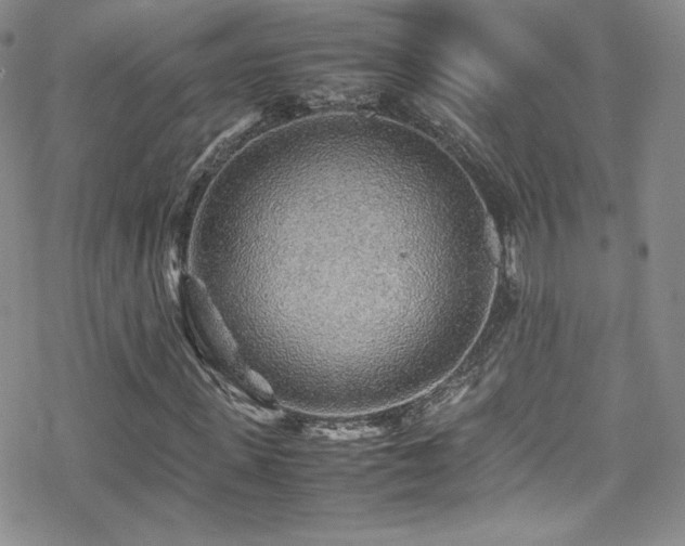 X0000070410915200606091147