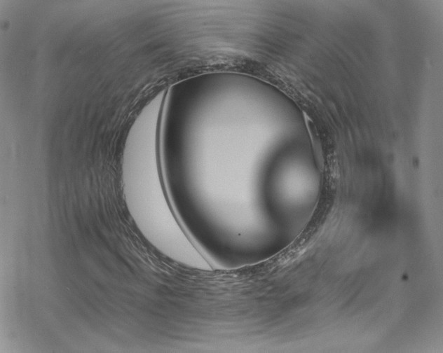 X0000070410916200606091147