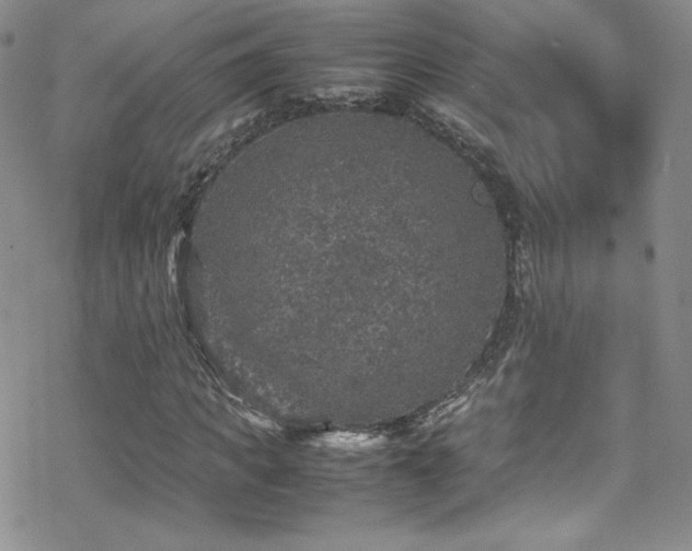 X0000070410917200606091147