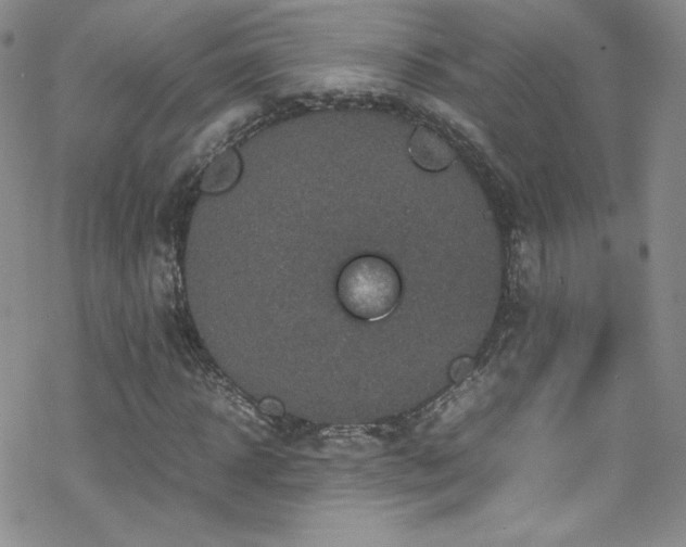 X0000070410918200606091147