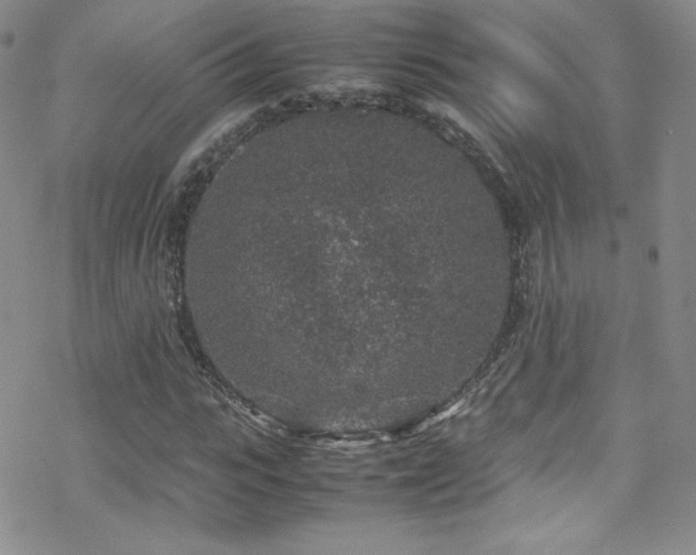 X0000070410919200606091147