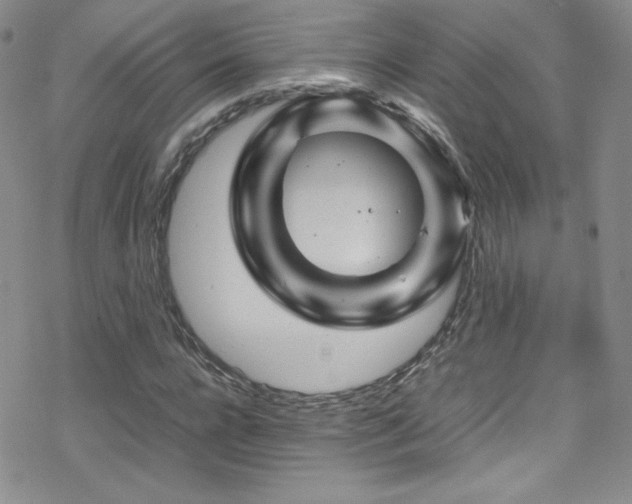 X0000070410920200606091147