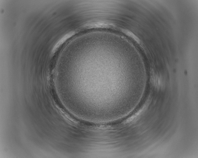 X0000070410922200606091147