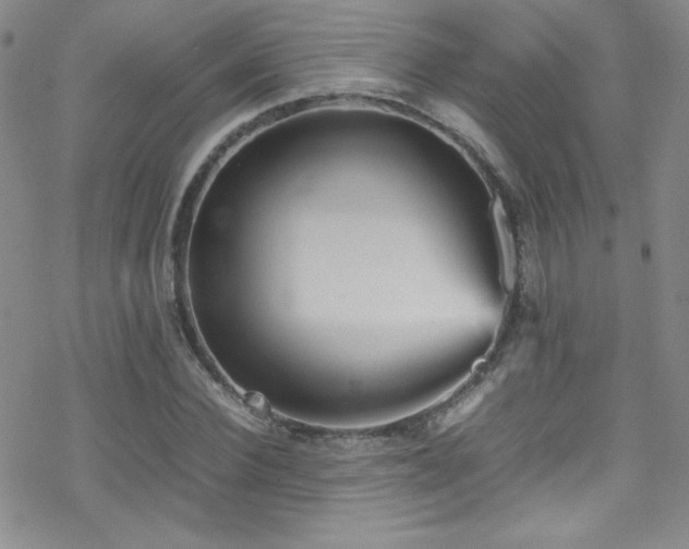 X0000070410924200606091147