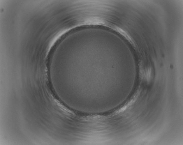 X0000070410926200606091147