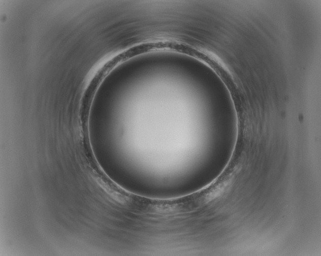 X0000070410927200606091147