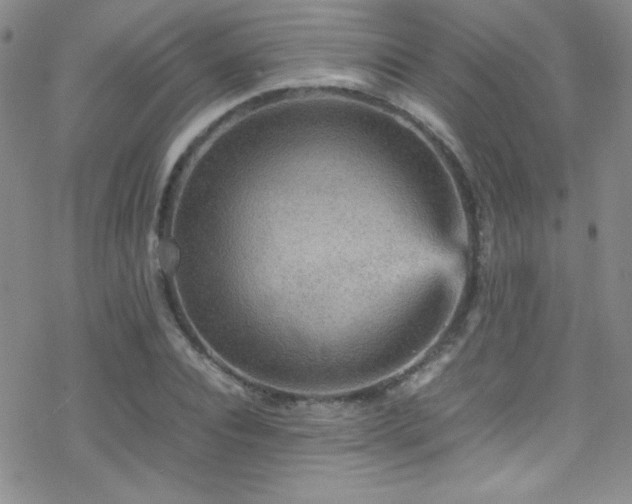 X0000070410928200606091147