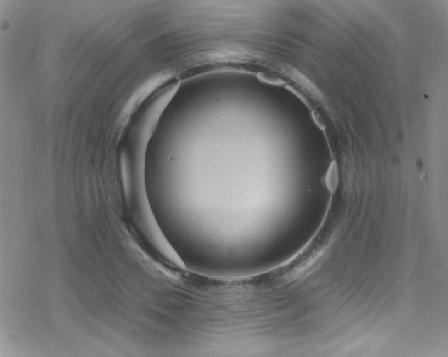 X0000070410930200606091147