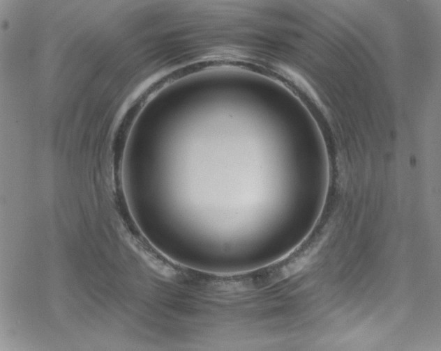 X0000070410931200606091147